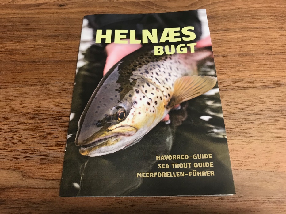 helnæs bugt fiskeguide