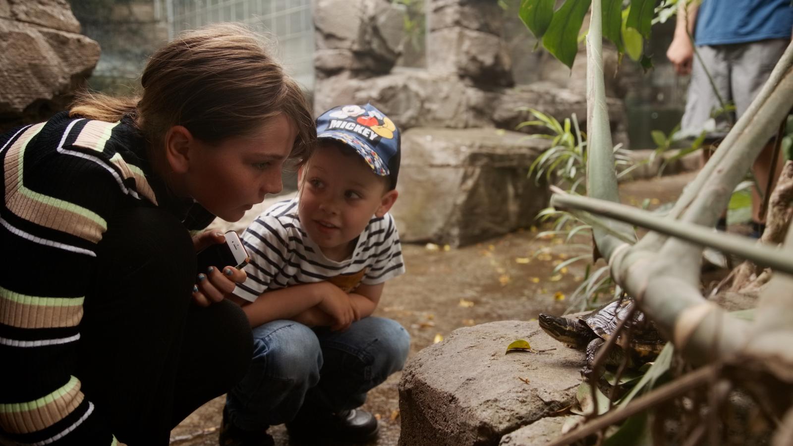 Attraktioner på vestfyn