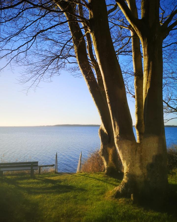 Lillebæltsstien ved Løgismose