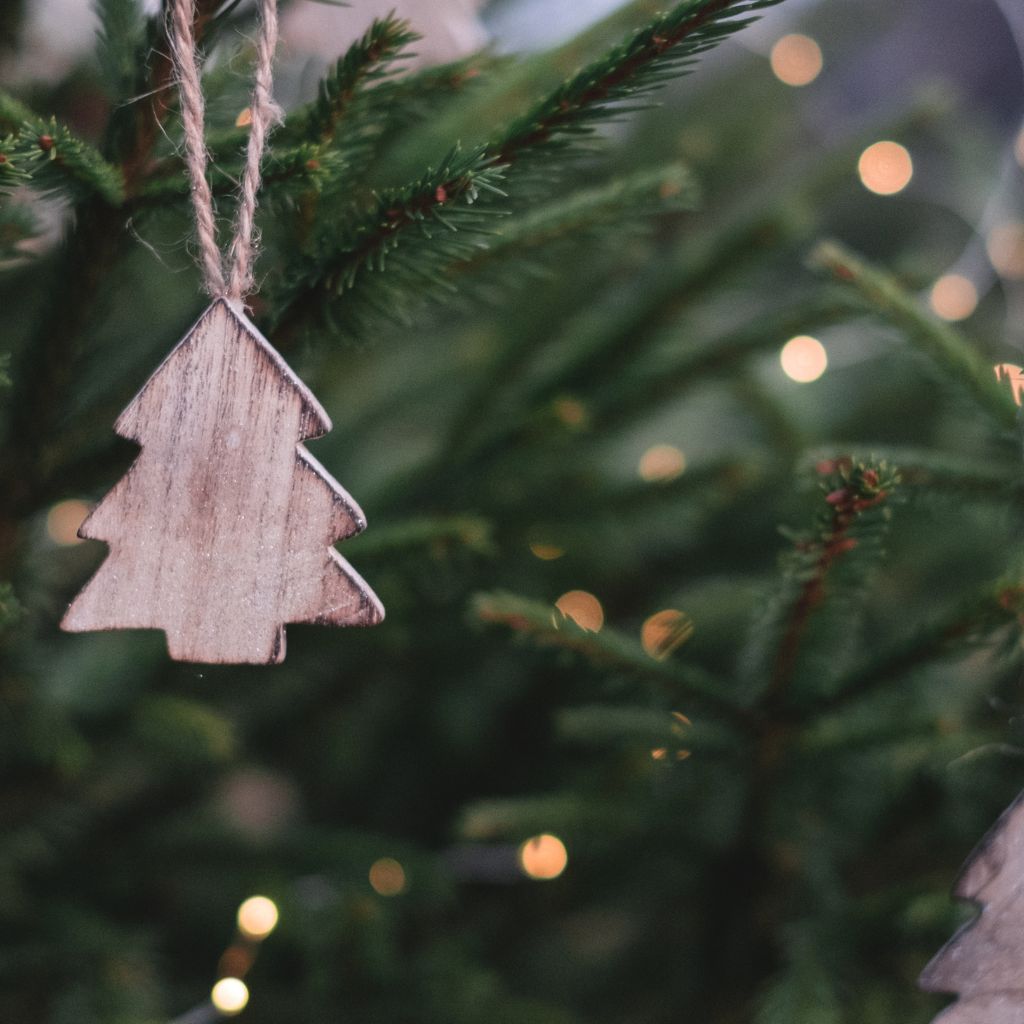 Julestue på Fugleviglund!