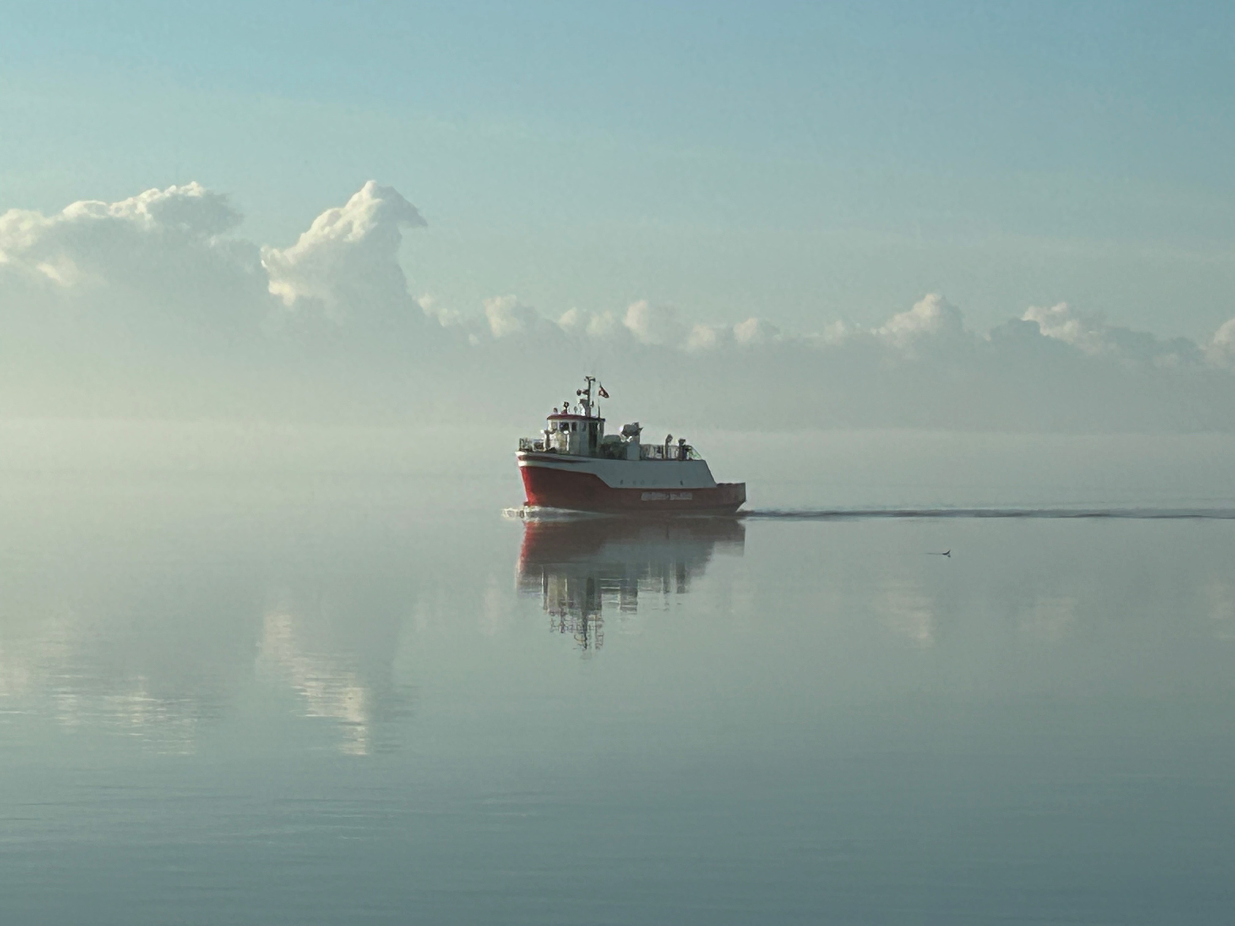 Baagøfærgen fylder 50 år