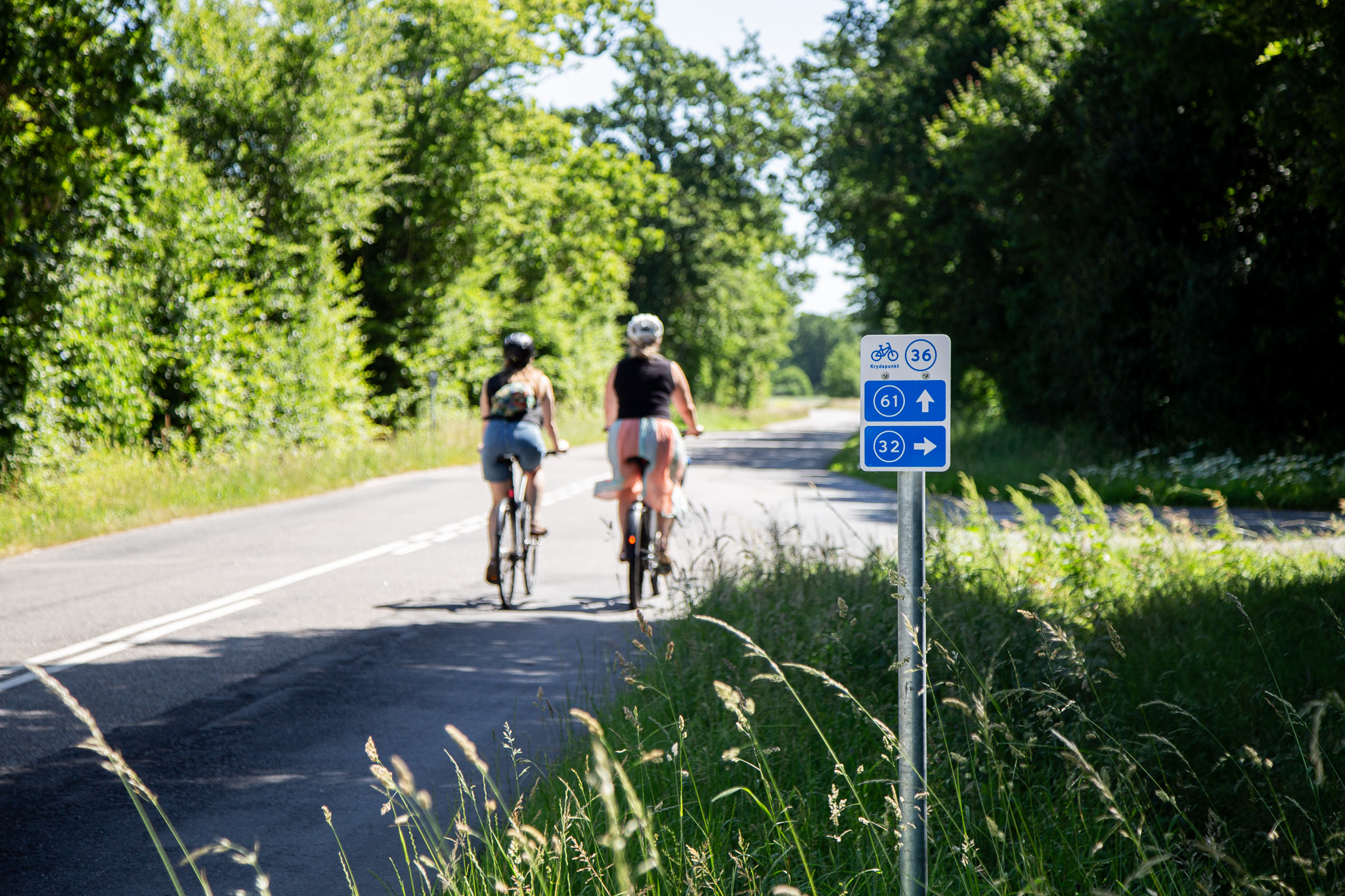 Cykelferie - Cykelnet i Assens