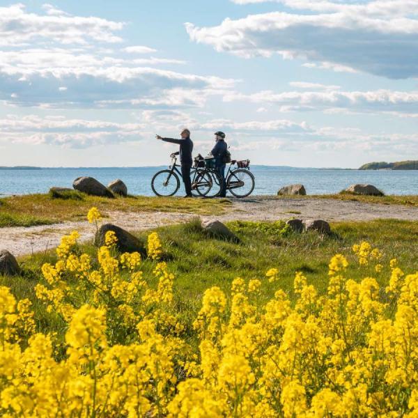 vestfyn cykelferie strand og natur