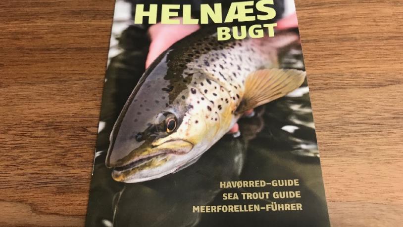 helnæs bugt fiskeguide