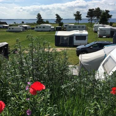løgismose strandcamping