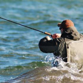 seatrout fyn